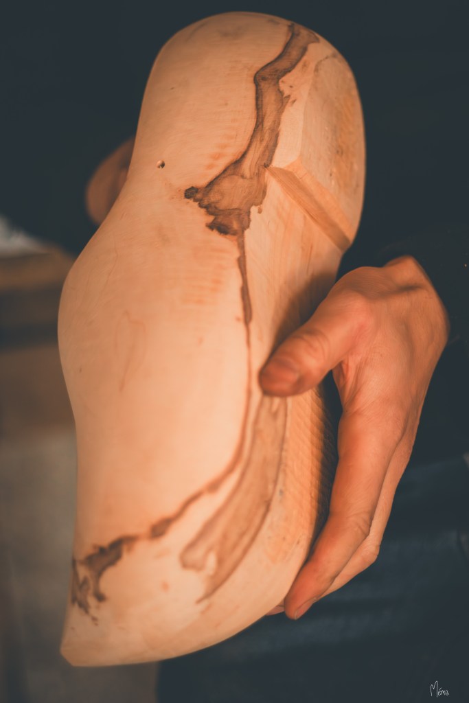 Gros plan sur un sabot